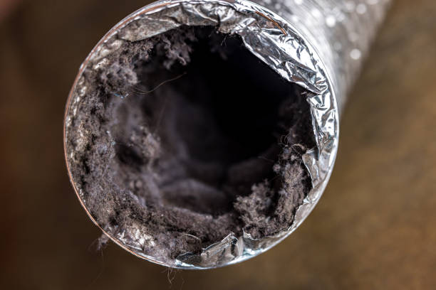 Best HVAC Duct Inspection Services  in Oak Bluffs, MA